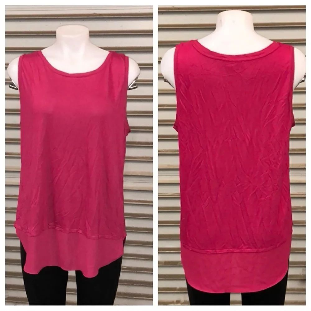 🛍️Ann Taylor Loft tunic style top with sheer trim